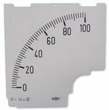 D96DC100 BLANK SCALE