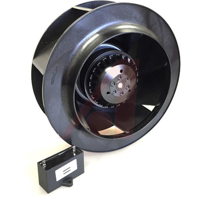 OAB22599-11-1B