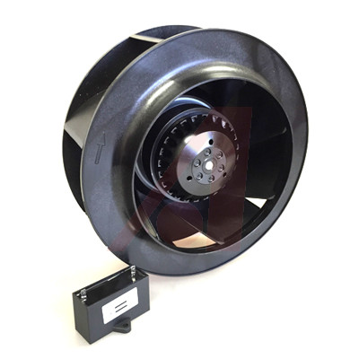 OAB22599-22-1B
