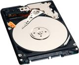 WD5000BPVT