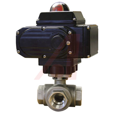 WE31-EMD02-T2-D