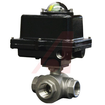 WE31-EMI02-T3-B