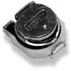 3142W103P