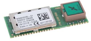 BISMS02BI-01