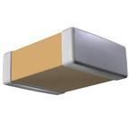 C1206C102M5RAC7025