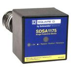 SDSA1175